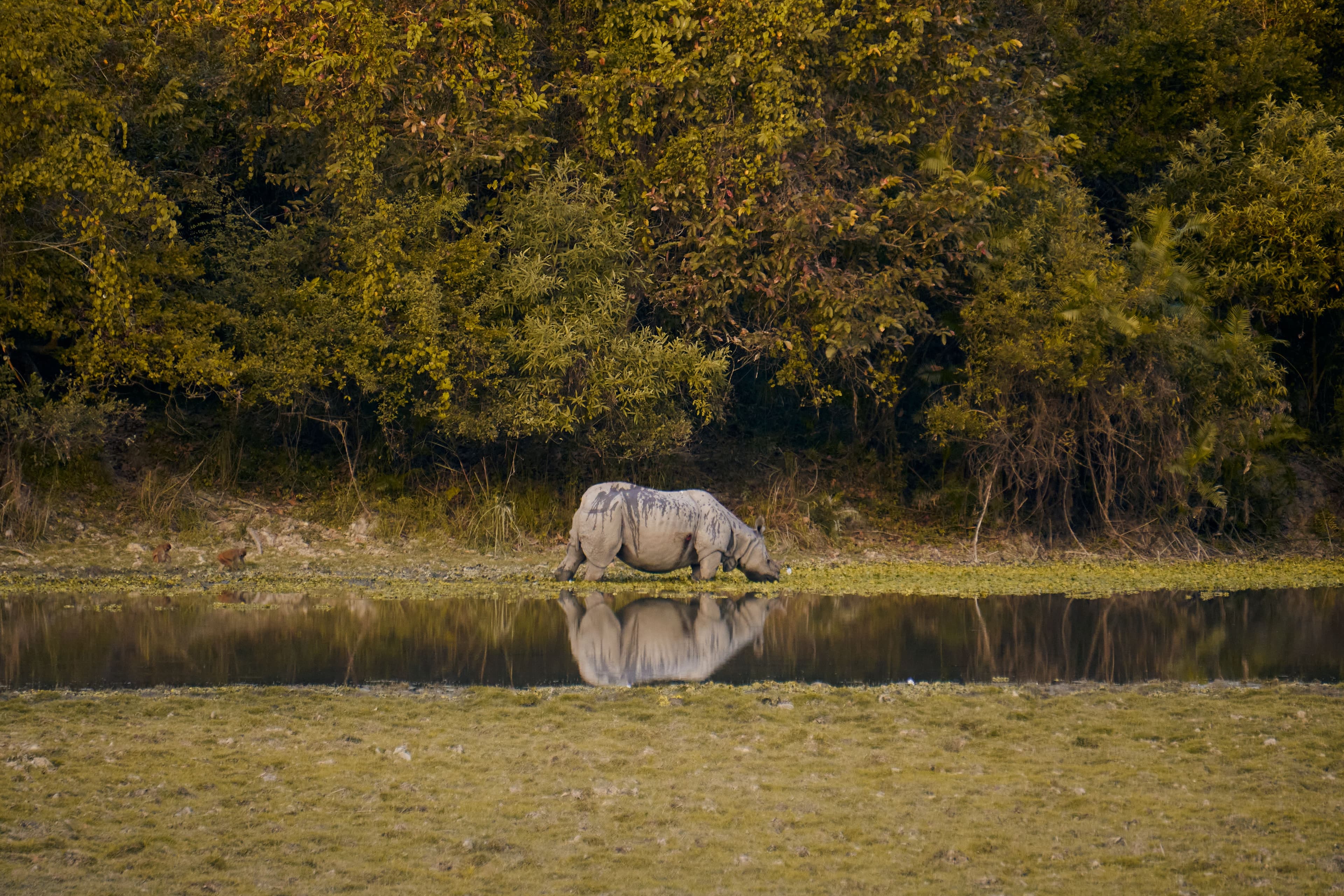 Kathmandu, Nagarkot & Chitwan Tour Package