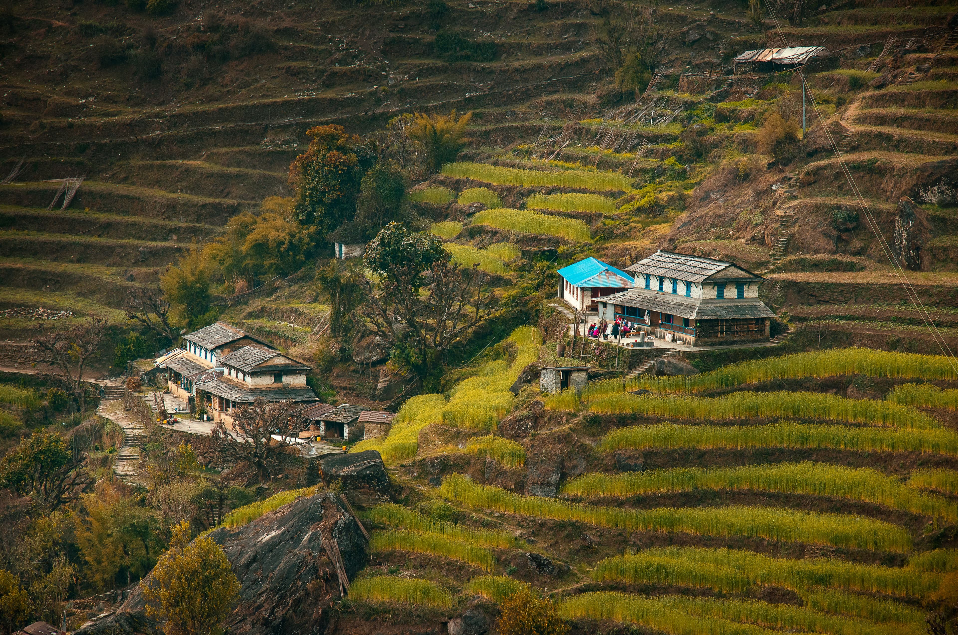 Hidden Gem Homestays: Discover Secret Escapes Off the Beaten Track